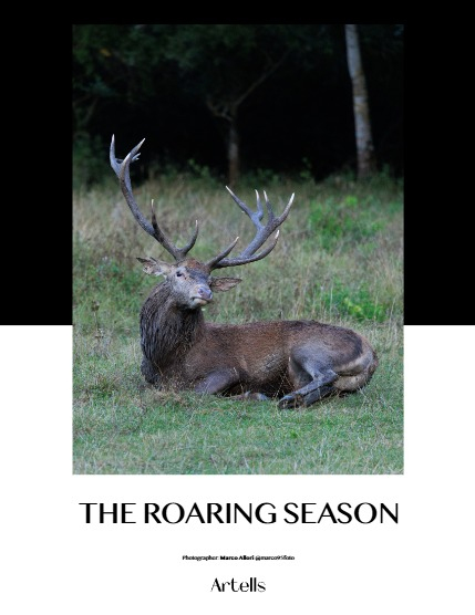 RTELLS MAGAZINE - NATURE & TRAVELS OCTOBER (Vol 4310), page 4