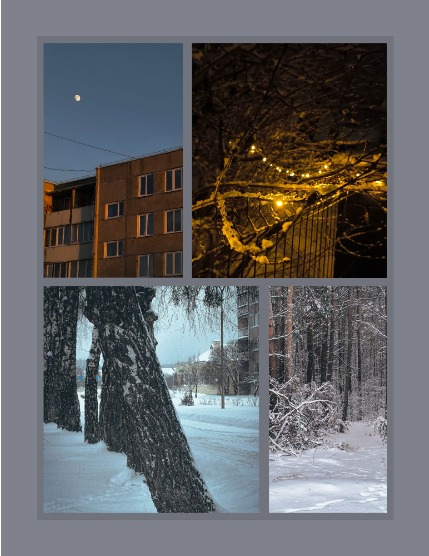 Bold & Beyond Nature (Issue 742 February 2026), page 3