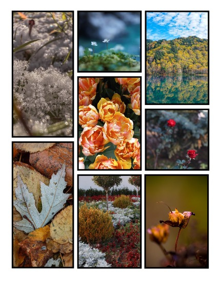 ARTEGO MAGAZINE - NATURE & TRAVELS DECEMBER ISSUE 1150, page 3