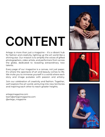  ARTEGO MAGAZINE - FASHION & GLAMOUR DECEMBER ISSUE 1158, page 2