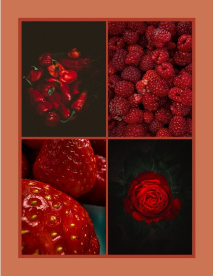 Bold & Beyond Nature (Issue 473 August 2025), page 3