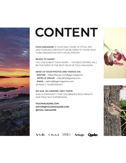 FIGGI MAGAZINE - NATURE & TRAVEL APRIL (Vol 2104), page 3