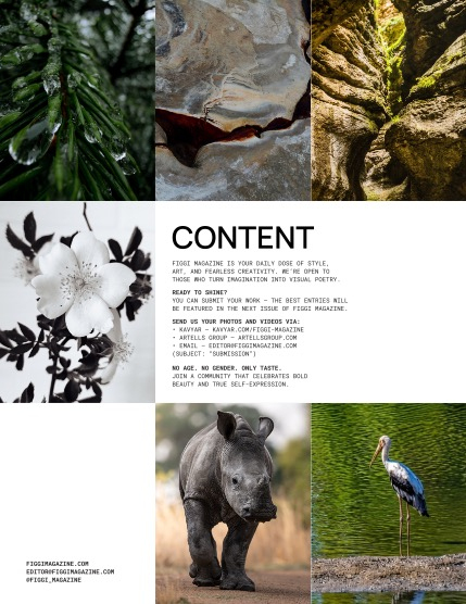 FIGGI MAGAZINE - NATURE & TRAVEL JUNE (Vol 2196), page 2