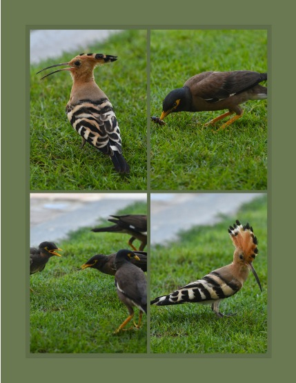 Bold & Beyond Nature (Issue 595 October 2025), page 3