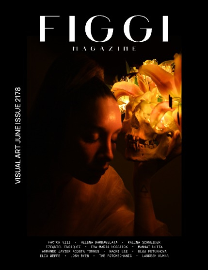 FIGGI MAGAZINE - VISUAL ART JUNE (Vol 2178), page 1