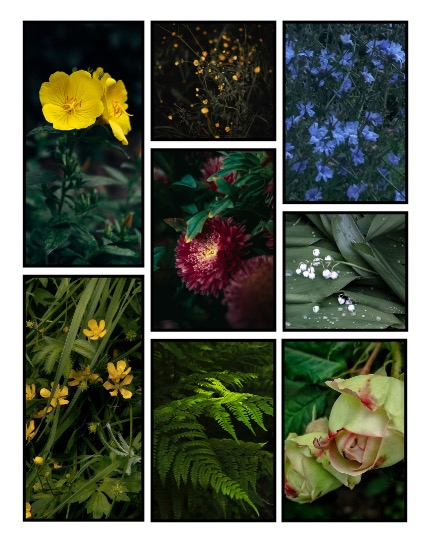 ARTEGO MAGAZINE - NATURE & TRAVELS JULY ISSUE 926, page 3