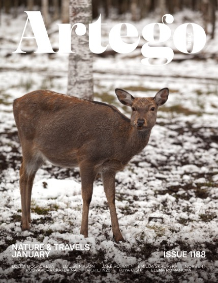 ARTEGO MAGAZINE - NATURE & TRAVELS JANUARY ISSUE 1188, page 1