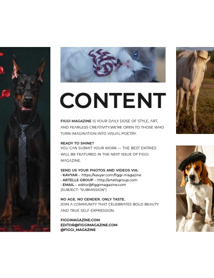 FIGGI MAGAZINE - LOVELY PETS FEBRUARY (Vol 1986), page 3