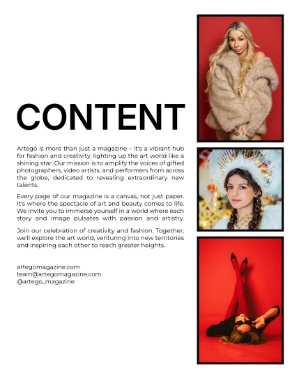 ARTEGO MAGAZINE - CHRISTMAS FEBRUARY ISSUE 1212, page 2
