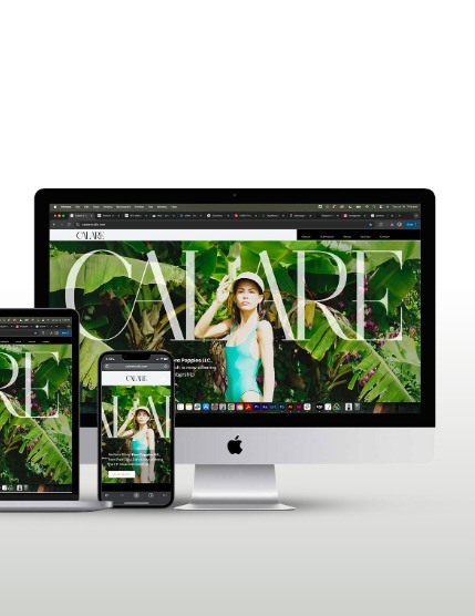 CALARE Vol 009, page 5