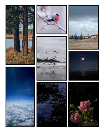 ARTEGO MAGAZINE - NATURE & TRAVELS DECEMBER ISSUE 1153, page 3