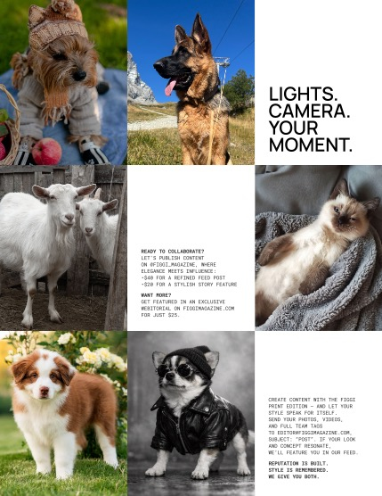 FIGGI MAGAZINE - LOVELY PETS OCTOBER (Vol 2309), page 3