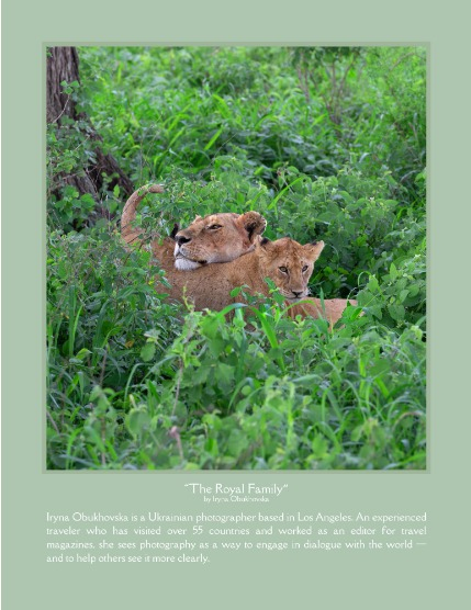 Bold & Beyond Nature (Issue 317 May 2025) , page 4