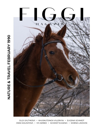 FIGGI MAGAZINE - NATURE & TRAVEL FEBRUARY (Vol 1990), page 1