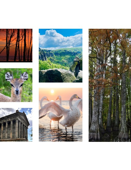 FIGGI MAGAZINE - NATURE & TRAVEL AUGUST (Vol 1731), page 2