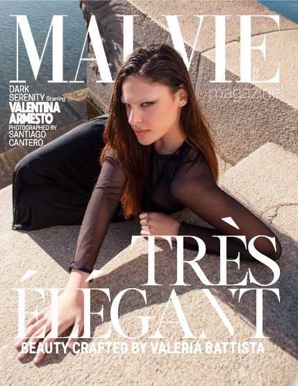 MALVIE The Artist Edition 868, page 1