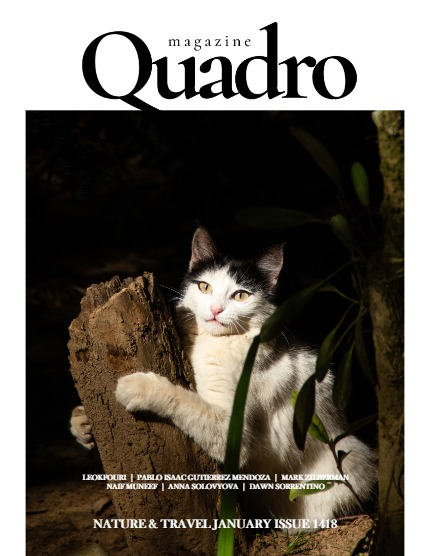 QUADRO MAGAZINE - NATURE & TRAVELS JANUARY (Vol 1418), page 1