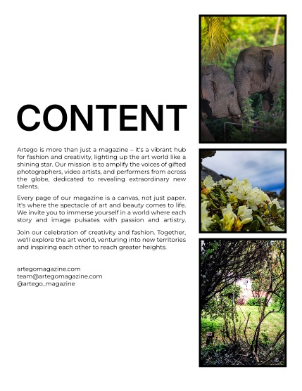 ARTEGO MAGAZINE - NATURE & TRAVELS DECEMBER ISSUE 1153, page 2
