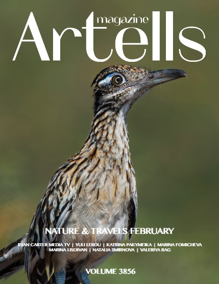 ARTELLS MAGAZINE - NATURE & TRAVELS FEBRUARY (Vol 3856), page 1