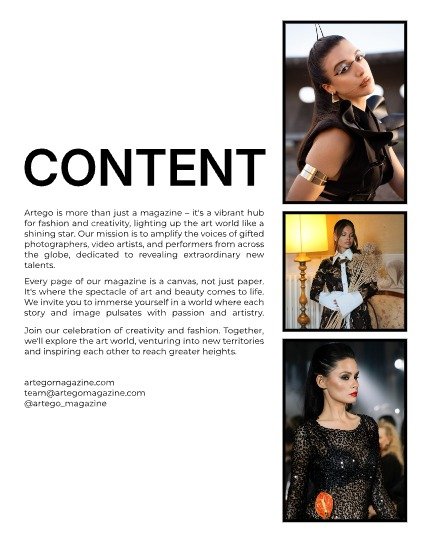 ARTEGO MAGAZINE - FASHION & GLAMOUR DECEMBER ISSUE 1161, page 2