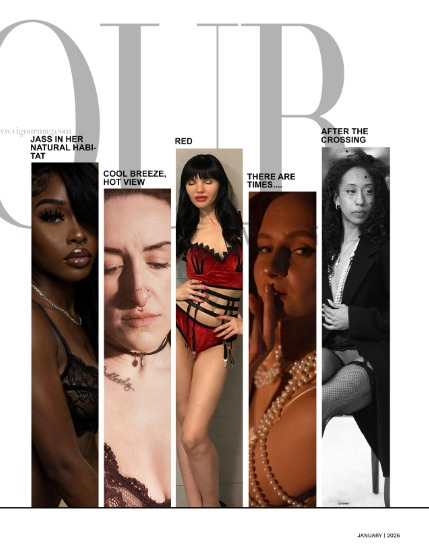 VIGOUR MAGAZINE OPEN THEME | January 2026 | Issue 02, page 3