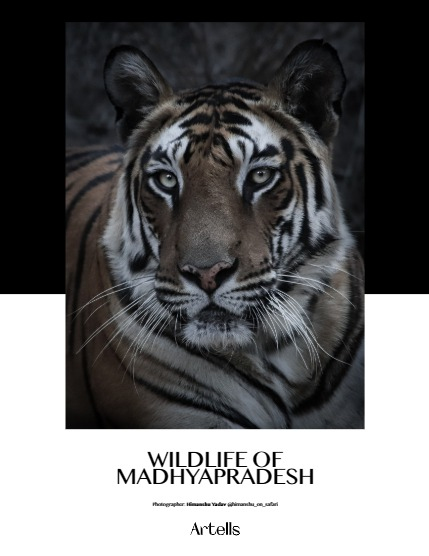 ARTELLS MAGAZINE - NATURE & TRAVELS APRIL (Vol 3107), page 4