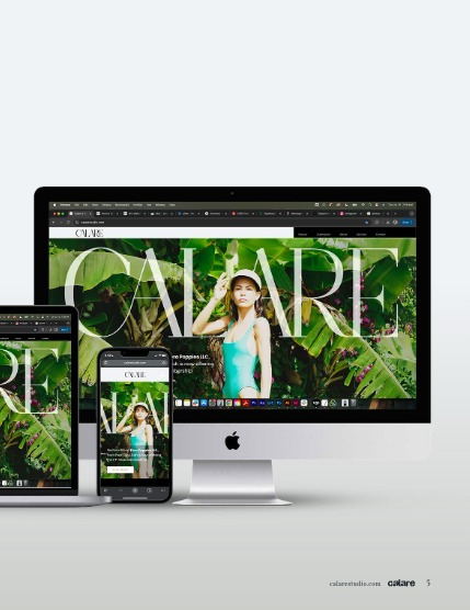 CALARE Vol 008, page 5