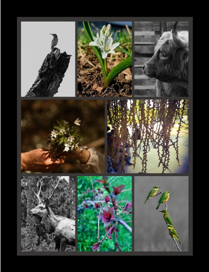 Bold & Beyond Nature (Issue 267 May 2025), page 3