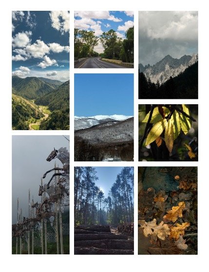 ARTEGO MAGAZINE - NATURE & TRAVELS MARCH ISSUE 744, page 3