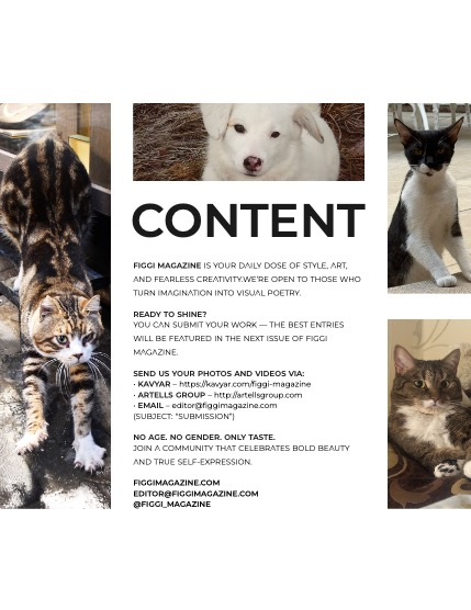 FIGGI MAGAZINE - LOVELY PETS FEBRUARY (Vol 1988), page 3