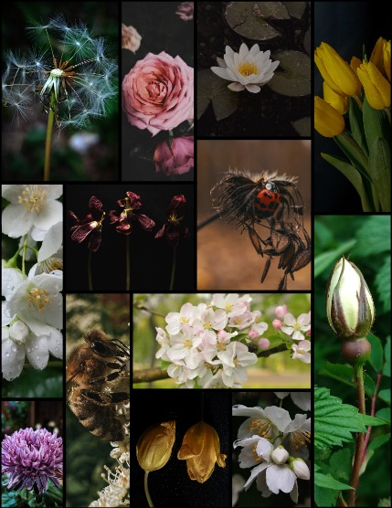 MARIKA MAGAZINE NATURE & TRAVELS (ISSUE 5573 - FEBRUARY), page 3