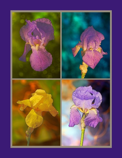 Bold & Beyond Nature (Issue 508 September 2025), page 3