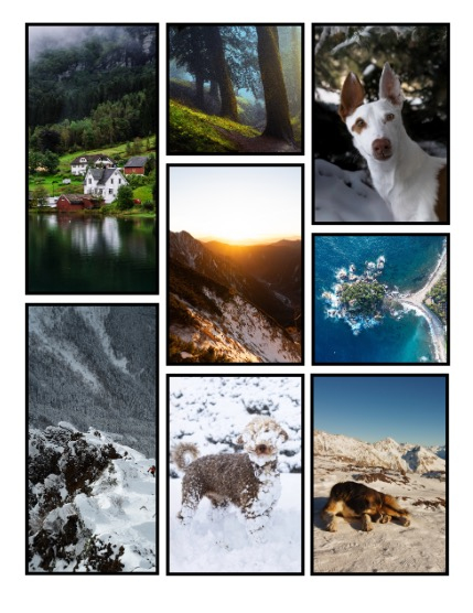 ARTEGO MAGAZINE - NATURE & TRAVELS JANUARY ISSUE 1187, page 3