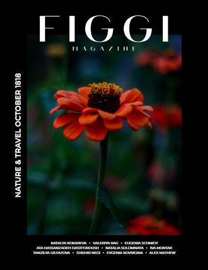 FIGGI MAGAZINE - NATURE & TRAVEL OCTOBER (Vol 1818), page 1