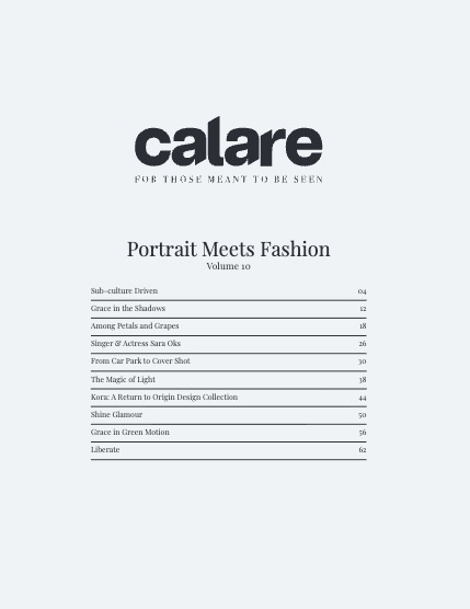 CALARE Vol 010, page 3