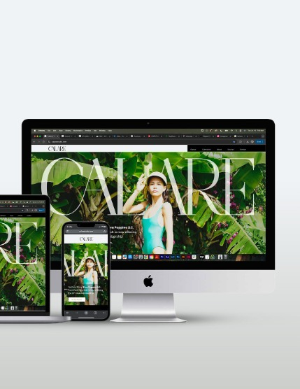 CALARE Vol 005, page 5