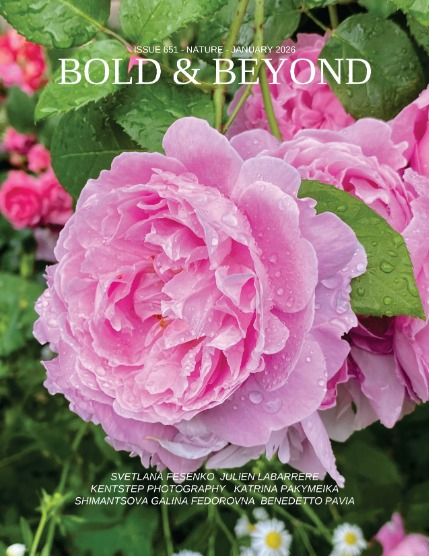 Bold & Beyond Nature (Issue 651 January 2026), page 1