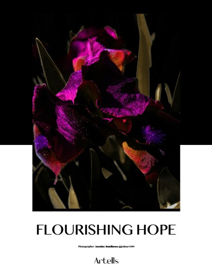 ARTELLS MAGAZINE - NATURE & TRAVELS FEBRUARY (Vol 3857), page 4