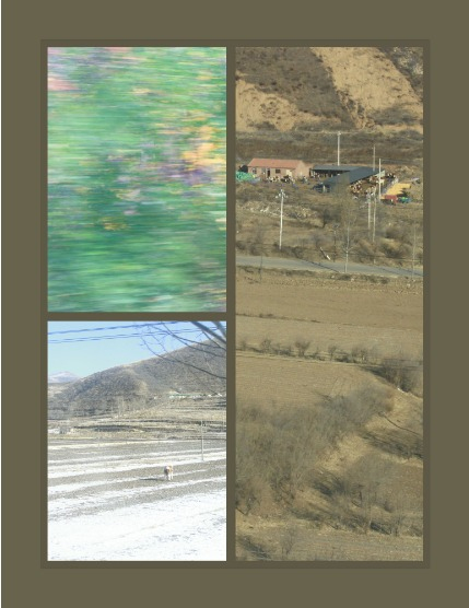 Bold & Beyond Nature (Issue 717 January 2026), page 3