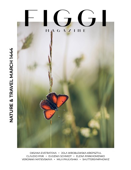 FIGGI MAGAZINE - NATURE & TRAVEL MARCH (Vol 1444), page 1