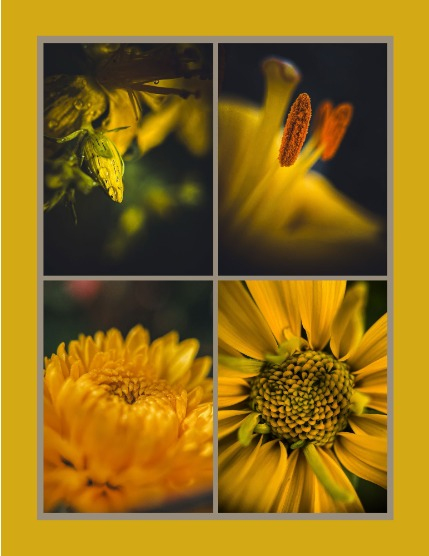 Bold & Beyond Nature (Issue 459 August 2025), page 3