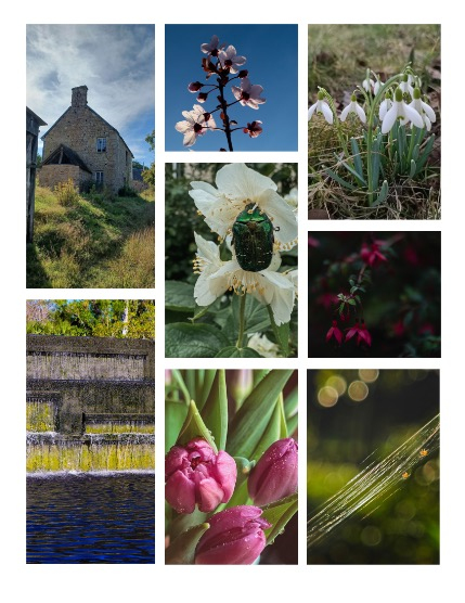 ARTEGO MAGAZINE - NATURE & TRAVELS APRIL ISSUE 809, page 3