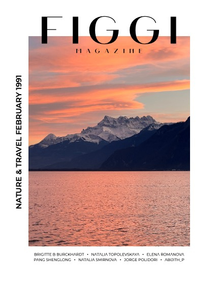 FIGGI MAGAZINE - NATURE & TRAVEL FEBRUARY (Vol 1991), page 1