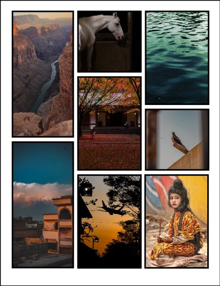 ARTEGO MAGAZINE - NATURE & TRAVELS MAY ISSUE 847, page 3