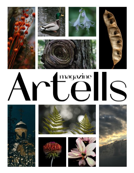 ARTELLS MAGAZINE - NATURE & TRAVELS FEBRUARY (Vol 3857), page 2
